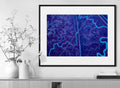 Mitch Rouse-San Francisco-Power-50x70 cm-limited editions-Monochrome Hub-Gallery for Fine Art Photography