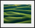 Mitch Rouse-Palouse Tree--limited editions-Monochrome Hub-Gallery for Fine Art Photography