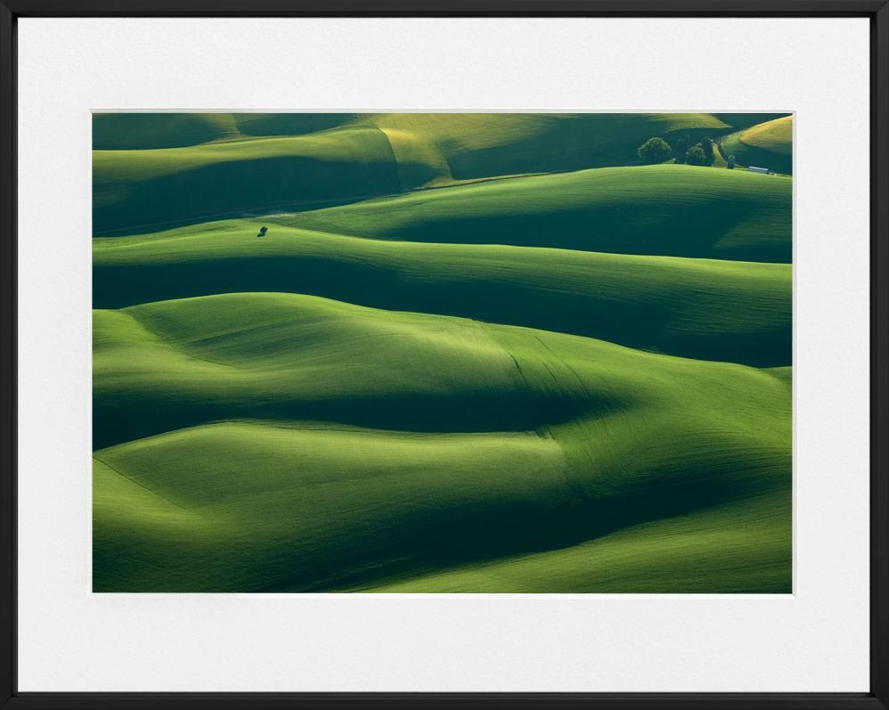 Mitch Rouse-Palouse Tree--limited editions-Monochrome Hub-Gallery for Fine Art Photography