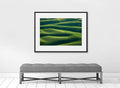 Mitch Rouse-Palouse Tree-70x100 cm-limited editions-Monochrome Hub-Gallery for Fine Art Photography