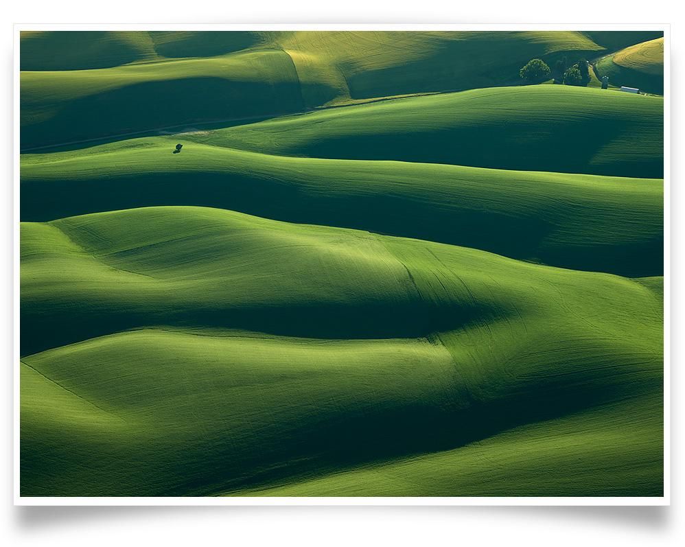 Mitch Rouse-Palouse Tree-PRINT ONLY-42x60 cm-limited editions-Monochrome Hub-Gallery for Fine Art Photography