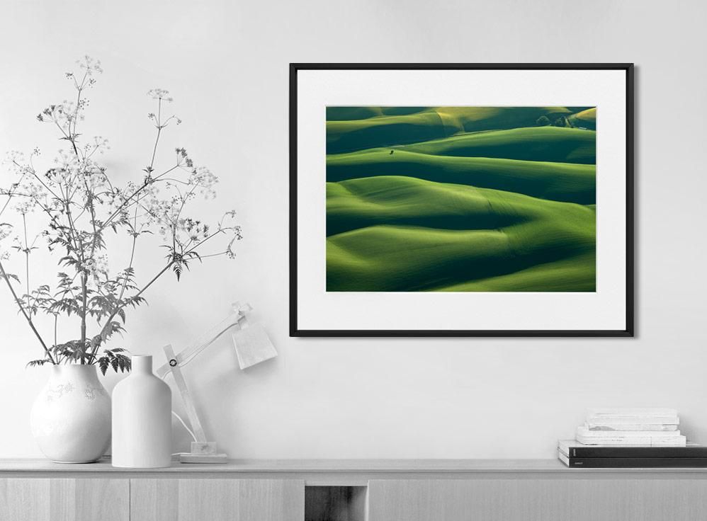 Mitch Rouse-Palouse Tree-40x50 cm-limited editions-Monochrome Hub-Gallery for Fine Art Photography