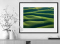 Mitch Rouse-Palouse Tree-50x70 cm-limited editions-Monochrome Hub-Gallery for Fine Art Photography