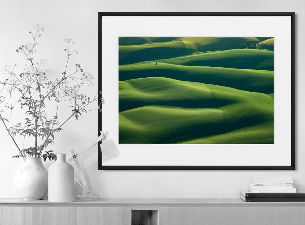 Mitch Rouse-Palouse Tree-50x70 cm-limited editions-Monochrome Hub-Gallery for Fine Art Photography