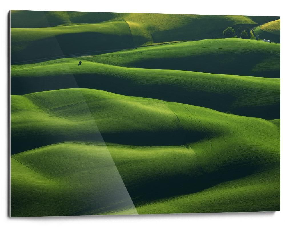 Mitch Rouse-Palouse Tree--limited editions-Monochrome Hub-Gallery for Fine Art Photography