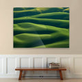 Mitch Rouse-Palouse Tree--limited editions-Monochrome Hub-Gallery for Fine Art Photography