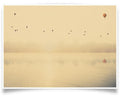 Nicolas Mithois-LAND FOUR-PRINT ONLY-42x60 cm-limited editions-Monochrome Hub-Gallery for Fine Art Photography