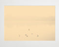 Nicolas Mithois-LAND THREE--limited editions-Monochrome Hub-Gallery for Fine Art Photography