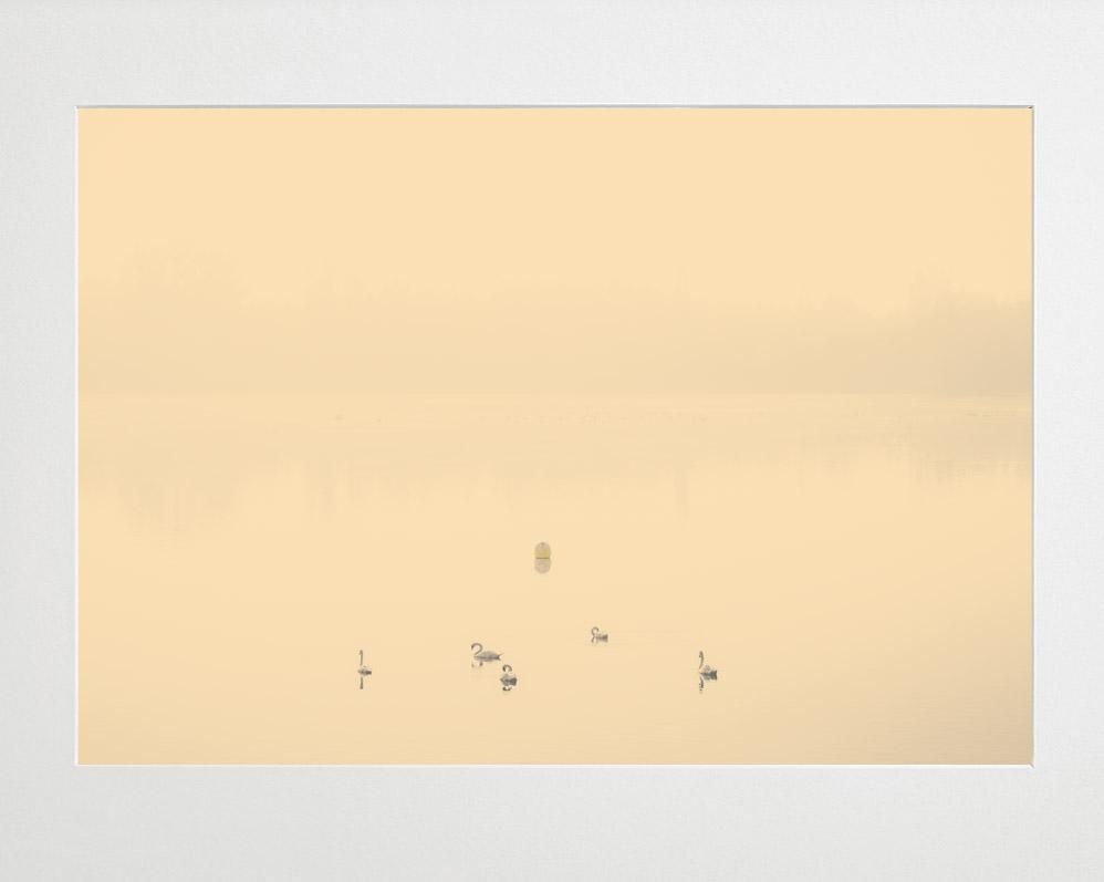 Nicolas Mithois-LAND THREE--limited editions-Monochrome Hub-Gallery for Fine Art Photography