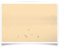 Nicolas Mithois-LAND THREE-PRINT ONLY-42x60 cm-limited editions-Monochrome Hub-Gallery for Fine Art Photography