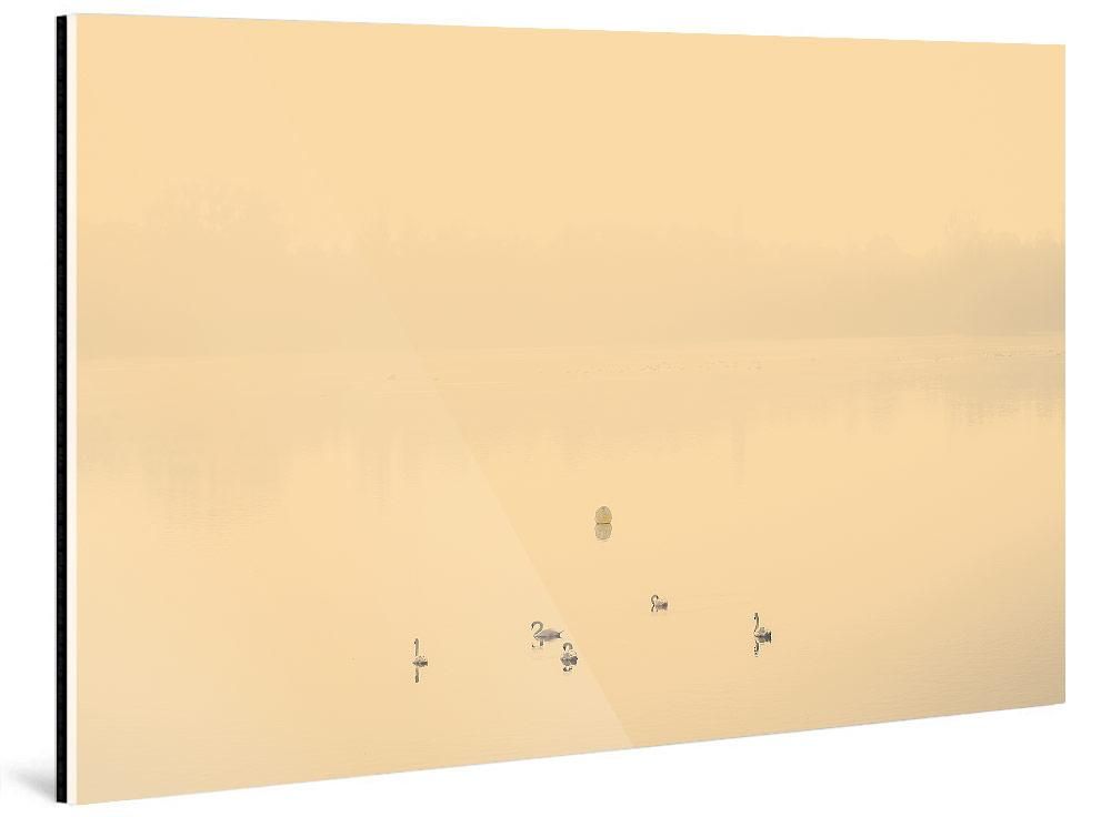 Nicolas Mithois-LAND THREE--limited editions-Monochrome Hub-Gallery for Fine Art Photography