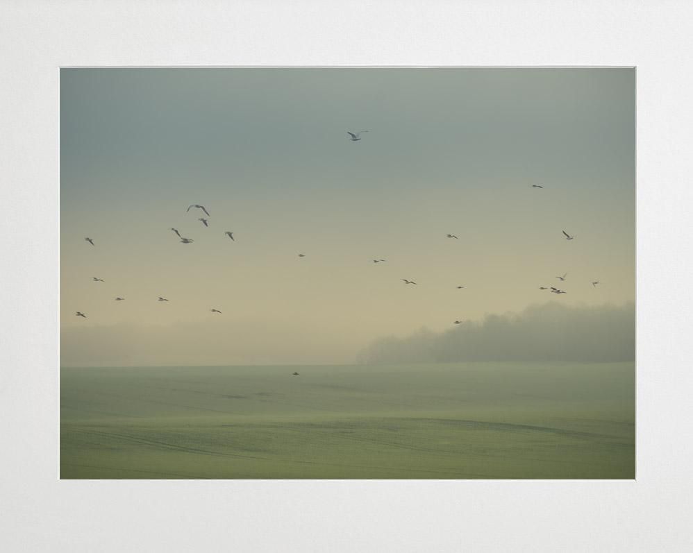 Nicolas Mithois-Land one--limited editions-Monochrome Hub-Gallery for Fine Art Photography
