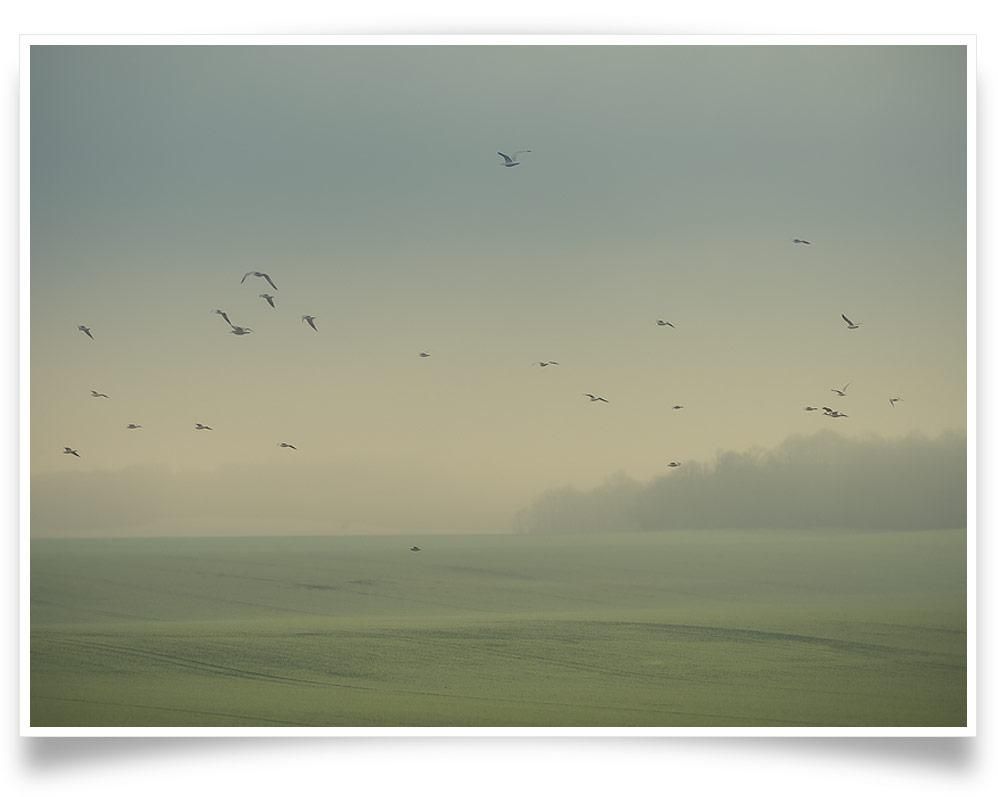 Nicolas Mithois-Land one-PRINT ONLY-42x60 cm-limited editions-Monochrome Hub-Gallery for Fine Art Photography