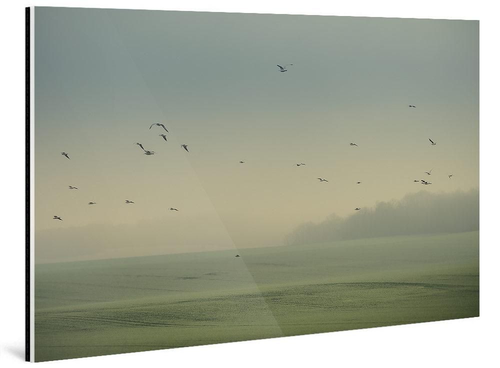 Nicolas Mithois-Land one--limited editions-Monochrome Hub-Gallery for Fine Art Photography