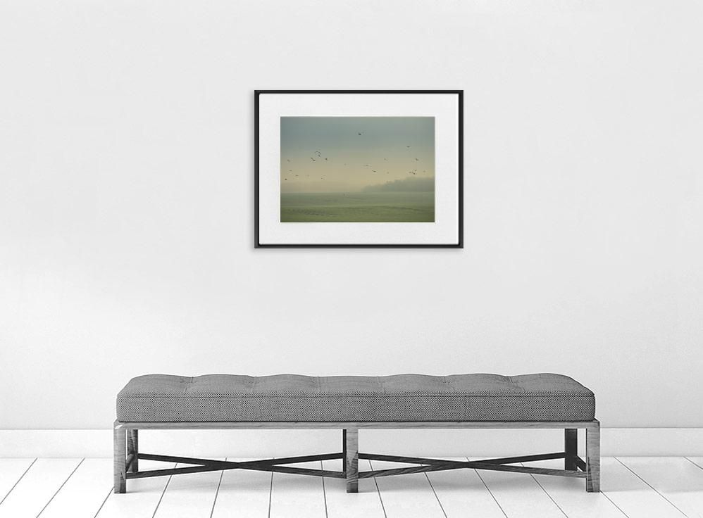 Nicolas Mithois-Land one-50x70 cm-limited editions-Monochrome Hub-Gallery for Fine Art Photography