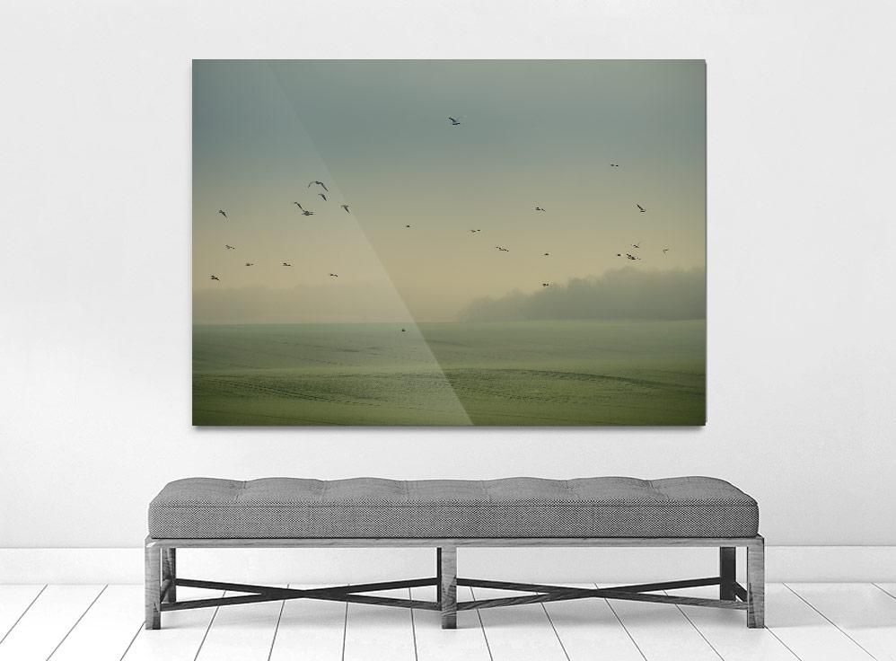 Nicolas Mithois-Land one-100x150 cm-limited editions-Monochrome Hub-Gallery for Fine Art Photography