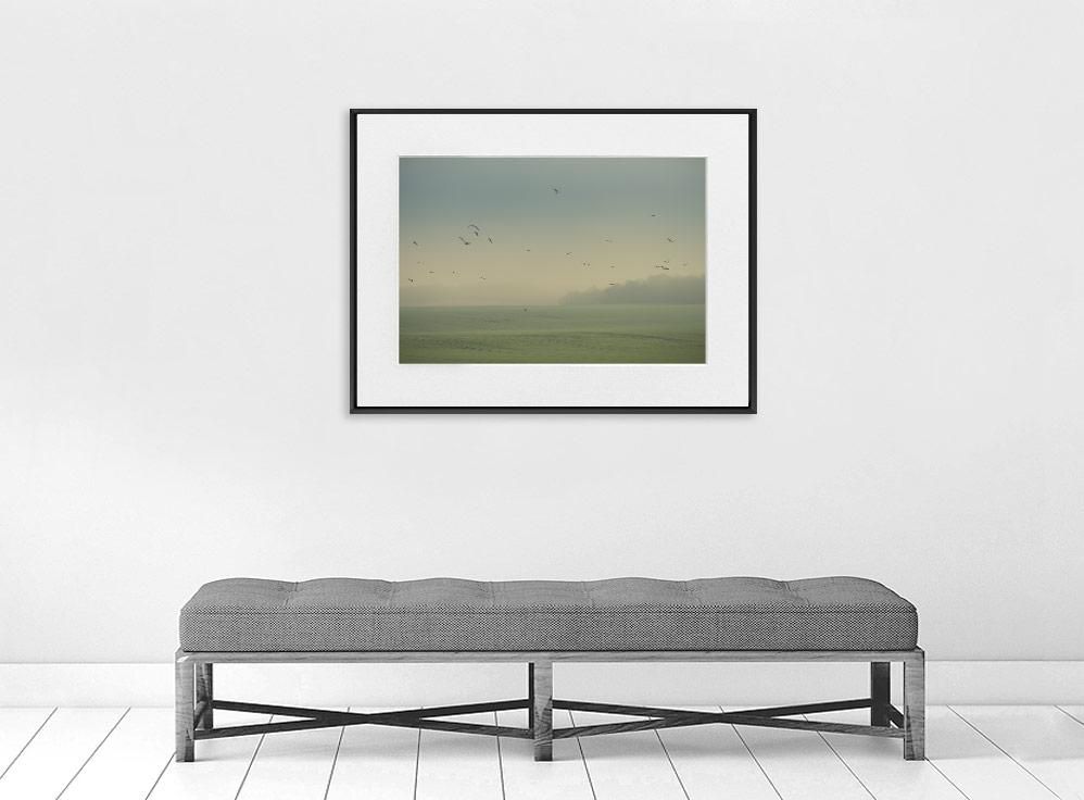 Nicolas Mithois-Land one-70x100 cm-limited editions-Monochrome Hub-Gallery for Fine Art Photography