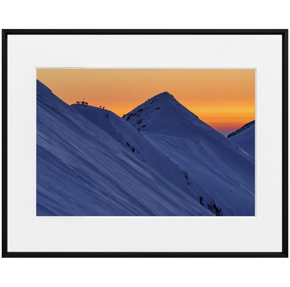 Pencho Chukov-Wild goats on sunset--limited editions-Monochrome Hub-Gallery for Fine Art Photography
