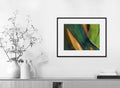 Pencho Chukov-Colourful palette-II-40x50 cm-limited editions-Monochrome Hub-Gallery for Fine Art Photography
