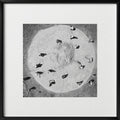 Pencho Chukov-AUTHENTIC THRESHING--limited editions-Monochrome Hub-Gallery for Fine Art Photography