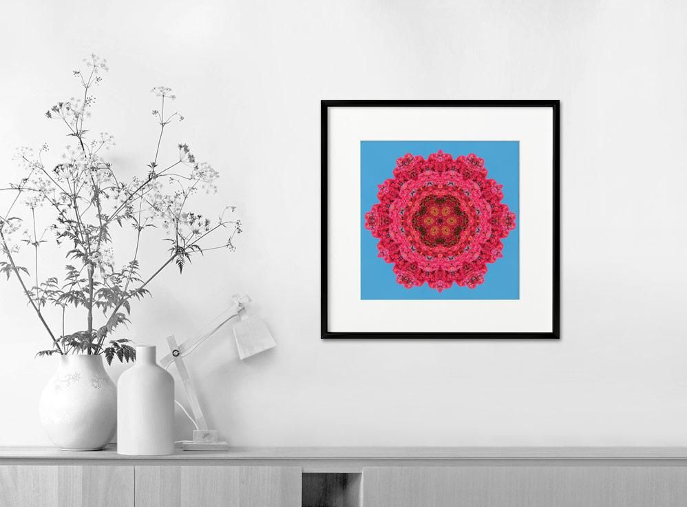 Shinya Itahana-Flora 10-32x32 cm-limited editions-Monochrome Hub-Gallery for Fine Art Photography