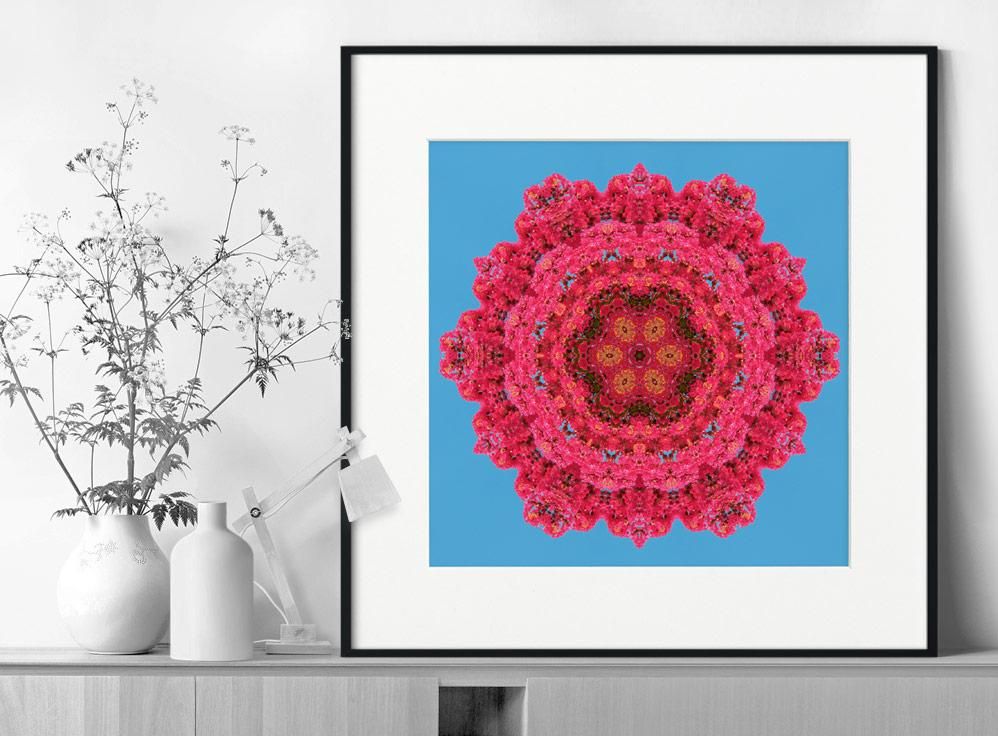 Shinya Itahana-Flora 10-50x50 cm-limited editions-Monochrome Hub-Gallery for Fine Art Photography