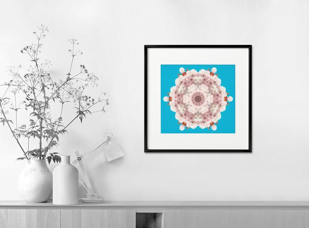 Shinya Itahana-Flora 02-32x32 cm-limited editions-Monochrome Hub-Gallery for Fine Art Photography