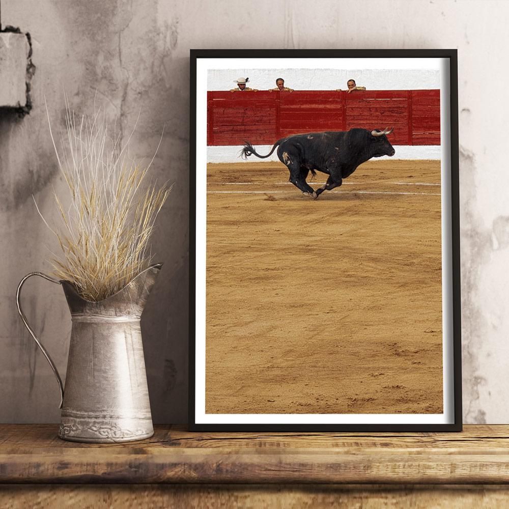 Monochrome Hub-TAUROMAQUIA--posters-Monochrome Hub-Gallery for Fine Art Photography