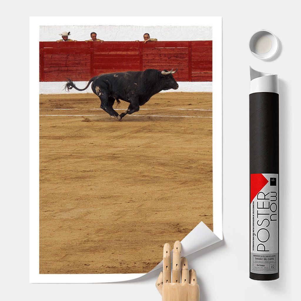 Monochrome Hub-TAUROMAQUIA-30x40 cm-posters-Monochrome Hub-Gallery for Fine Art Photography