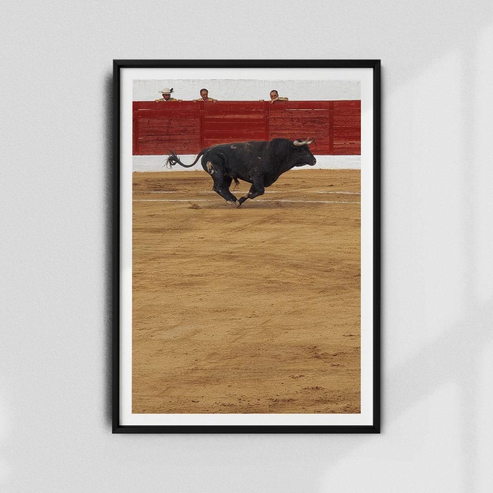 Monochrome Hub-TAUROMAQUIA-40x60 cm-posters-Monochrome Hub-Gallery for Fine Art Photography