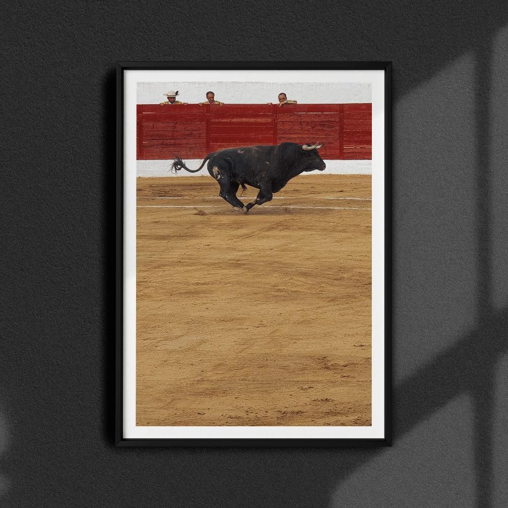Monochrome Hub-TAUROMAQUIA--posters-Monochrome Hub-Gallery for Fine Art Photography
