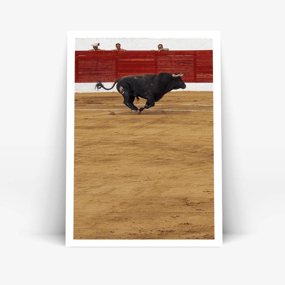 Monochrome Hub-TAUROMAQUIA--posters-Monochrome Hub-Gallery for Fine Art Photography